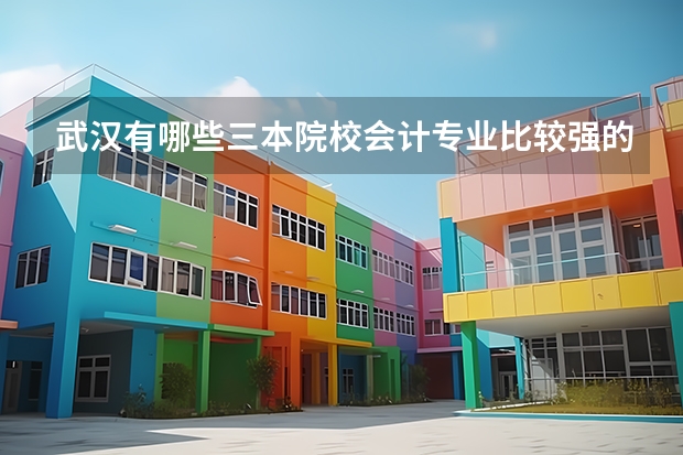 武汉有哪些三本院校会计专业比较强的？