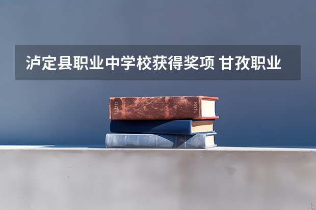 泸定县职业中学校获得奖项 甘孜职业学院是公办还是民办大学?