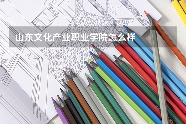 山东文化产业职业学院怎么样