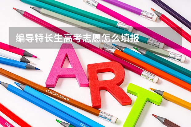 编导特长生高考志愿怎么填报