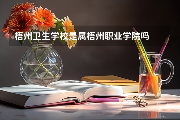 梧州卫生学校是属梧州职业学院吗