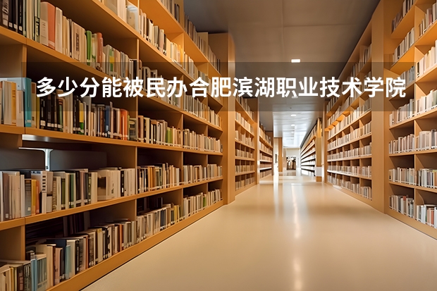 多少分能被民办合肥滨湖职业技术学院录取