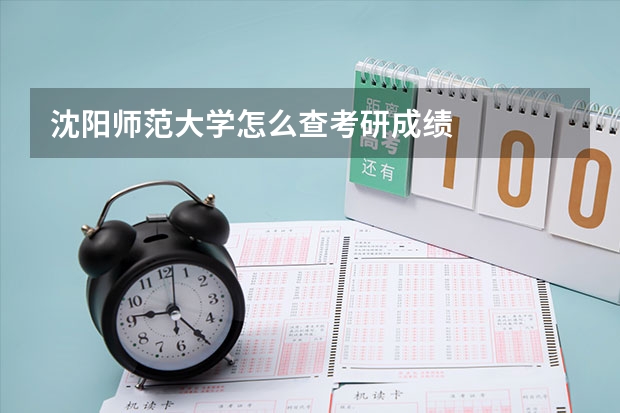 沈阳师范大学怎么查考研成绩