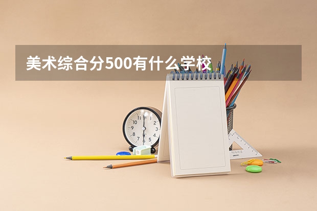 美术综合分500有什么学校