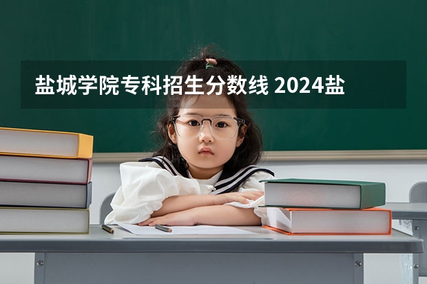 盐城学院专科招生分数线 2024盐城工学院各专业录取分数线