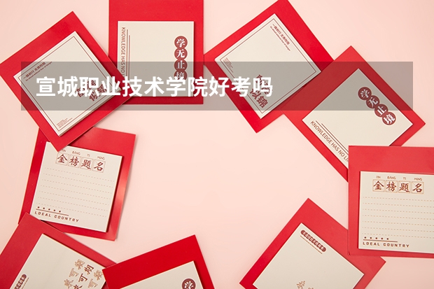 宣城职业技术学院好考吗