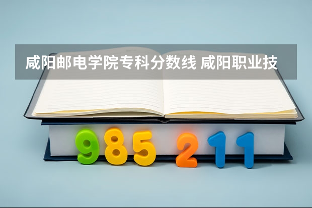 咸阳邮电学院专科分数线 咸阳职业技术学院分数线