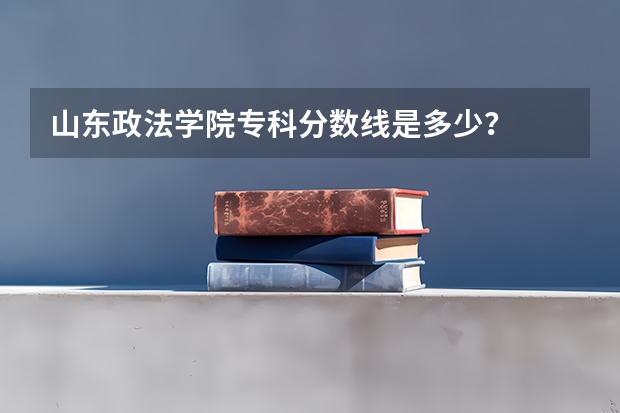 山东政法学院专科分数线是多少？