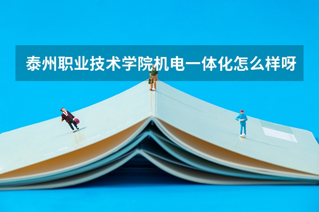 泰州职业技术学院机电一体化怎么样呀