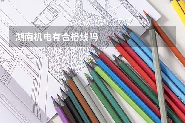 湖南机电有合格线吗