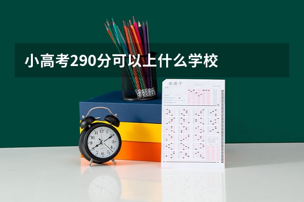 小高考290分可以上什么学校