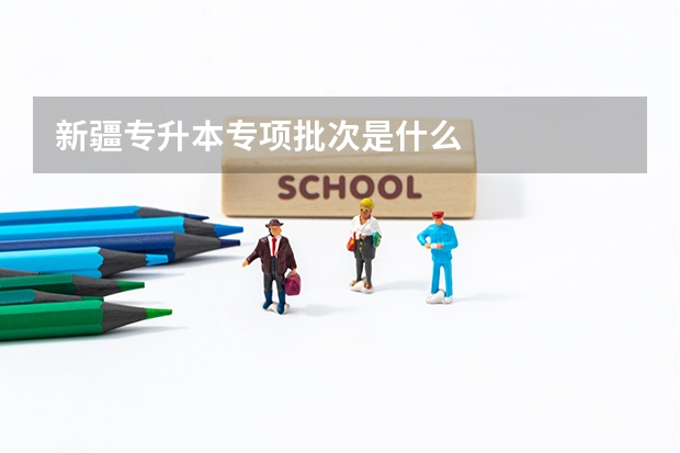 新疆专升本专项批次是什么