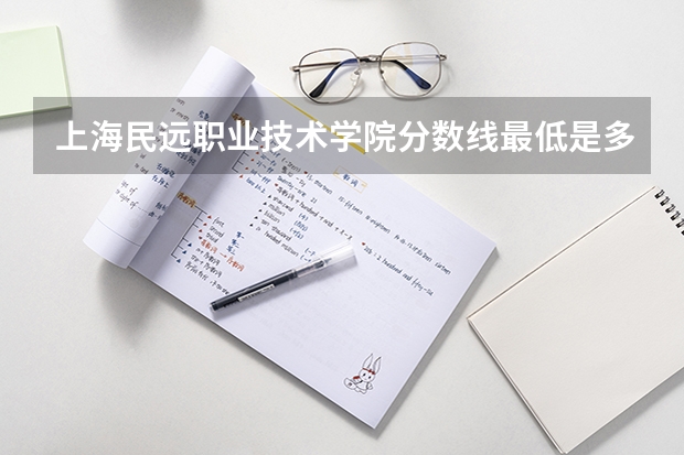 上海民远职业技术学院分数线最低是多少