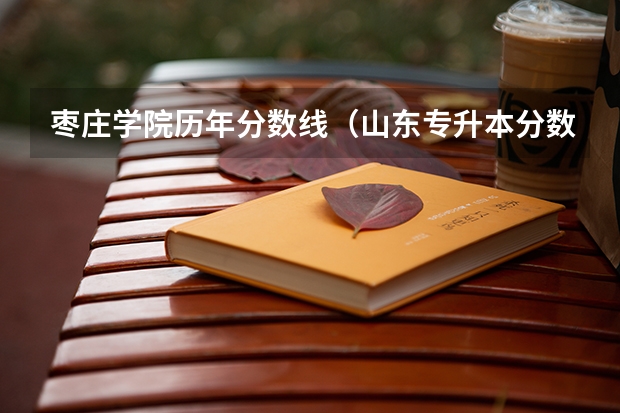 枣庄学院历年分数线(山东专升本分数线)