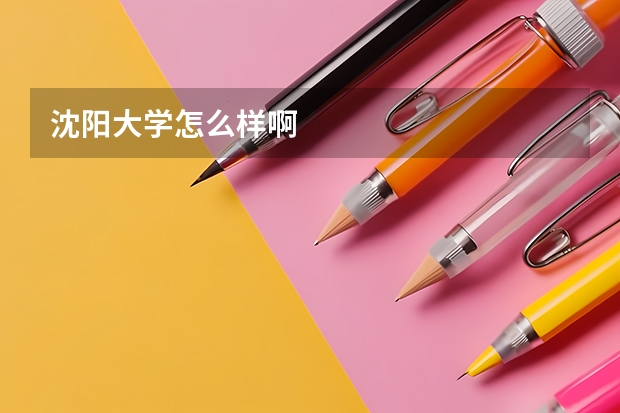 沈阳大学怎么样啊