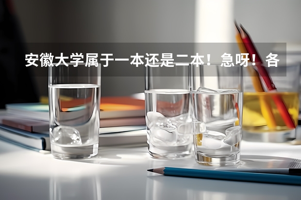 安徽大学属于一本还是二本！急呀！各位帮帮忙呀！（安徽大学是一本还是二本？）