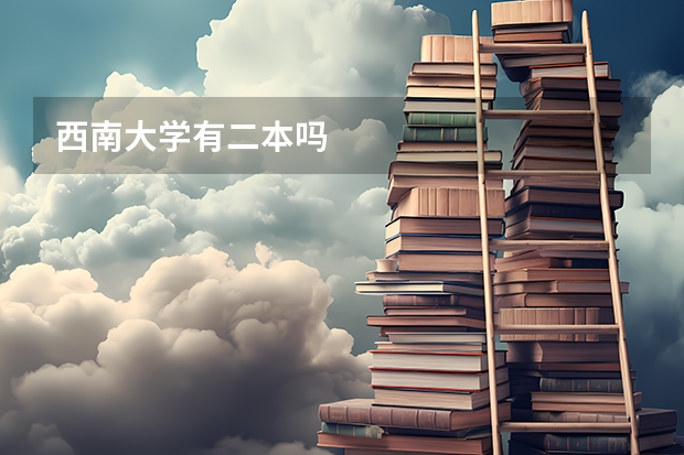 西南大学有二本吗