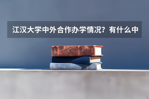 江汉大学中外合作办学情况？有什么中外合作办学专业？