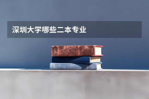 深圳大学哪些二本专业