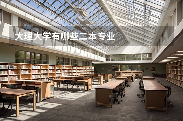 大理大学有哪些二本专业
