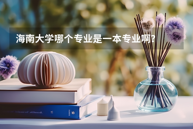 海南大学哪个专业是一本专业啊？