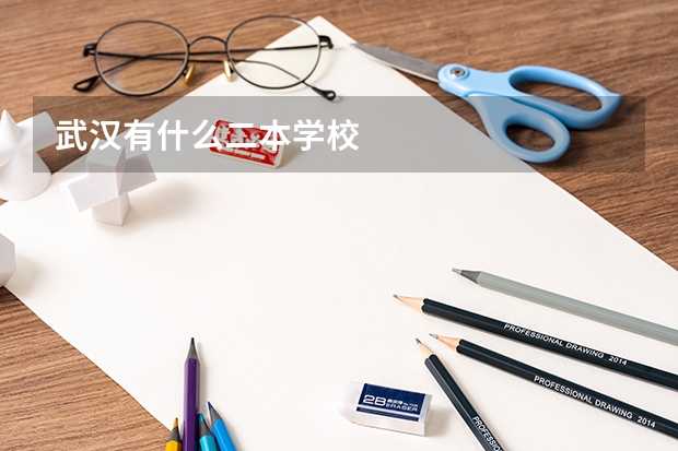 武汉有什么二本学校