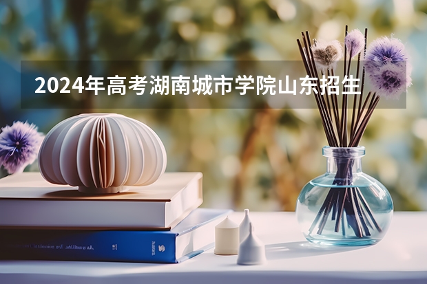 2024年高考湖南城市学院山东招生计划（招生人数多少）