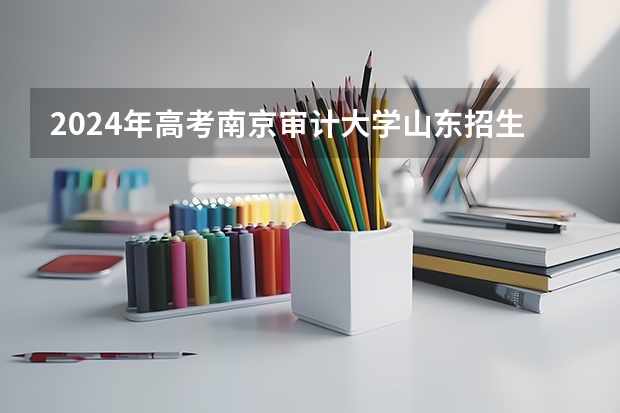 2024年高考南京审计大学山东招生计划（招生人数多少）