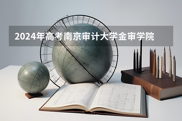 2024年高考南京审计大学金审学院山东招生计划（招生人数多少）