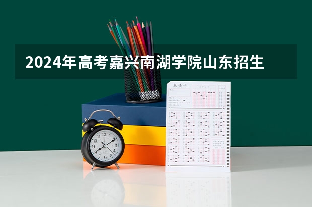 2024年高考嘉兴南湖学院山东招生计划（招生人数多少）