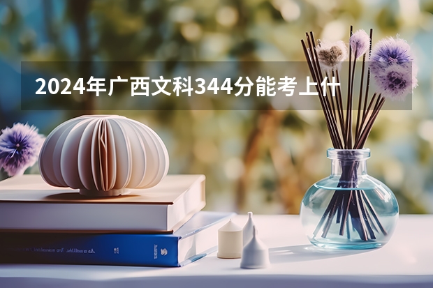 2024年广西文科344分能考上什么大学?