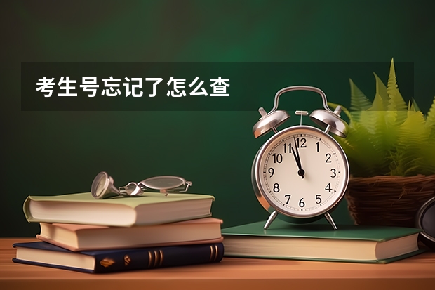 考生号忘记了怎么查