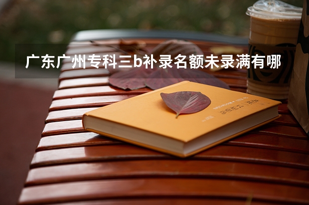 广东广州专科三b补录名额未录满有哪些学院