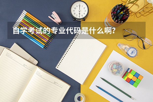 自学考试的专业代码是什么啊？