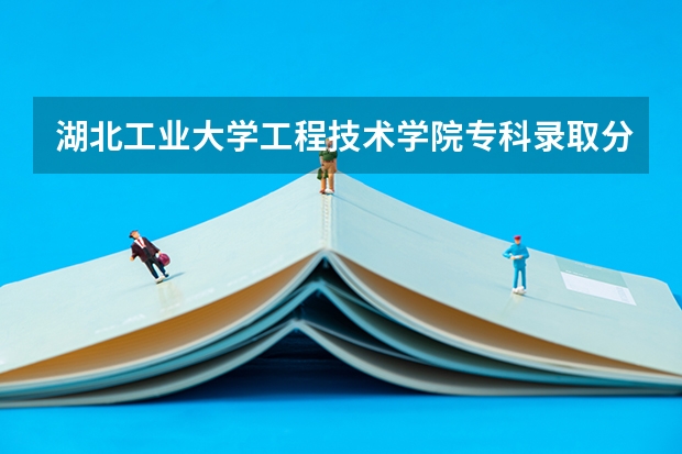 湖北工业大学工程技术学院专科录取分数线是多少啊？