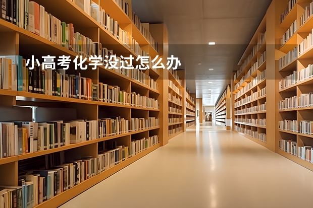 小高考化学没过怎么办