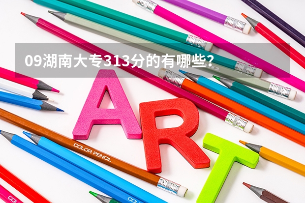 09湖南大专313分的有哪些?