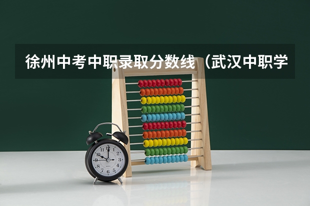 徐州中考中职录取分数线（武汉中职学校录取分数线？）