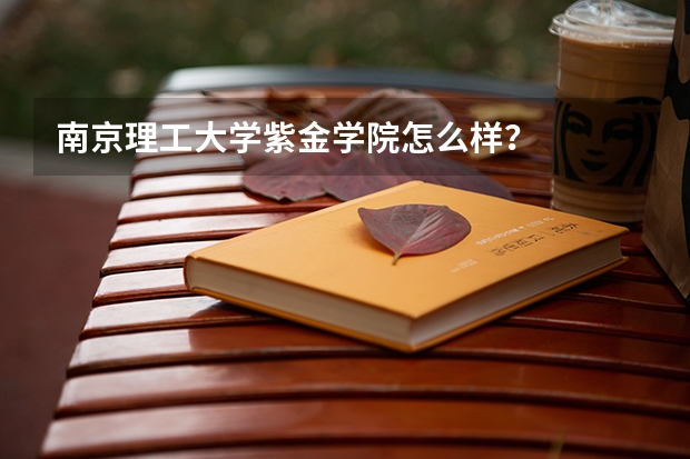 南京理工大学紫金学院怎么样？