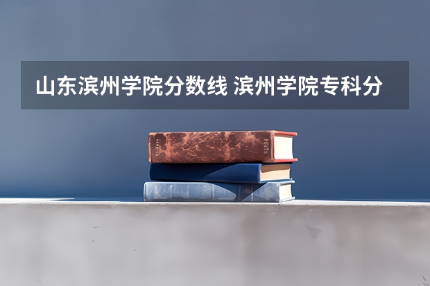 山东滨州学院分数线 滨州学院专科分数线
