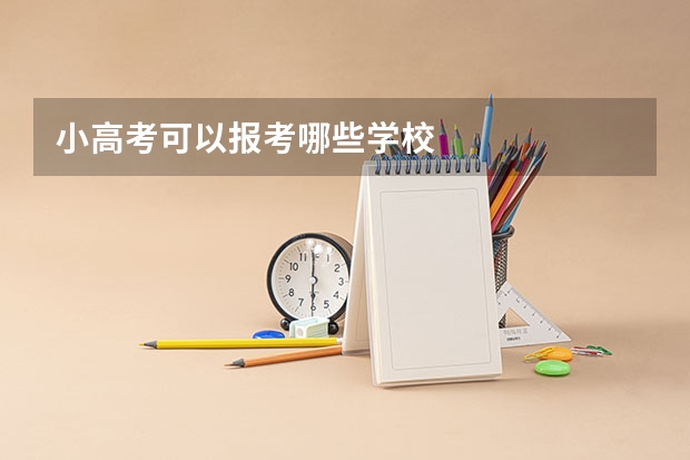 小高考可以报考哪些学校