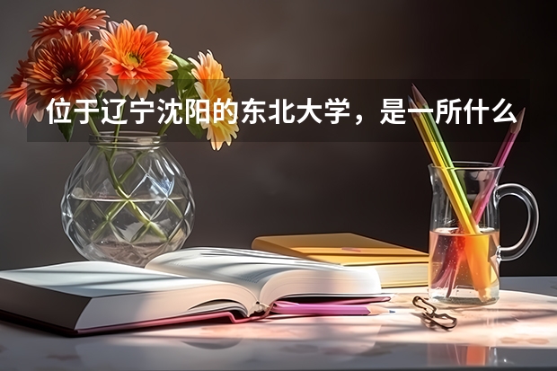 位于辽宁沈阳的东北大学，是一所什么水平的高校？