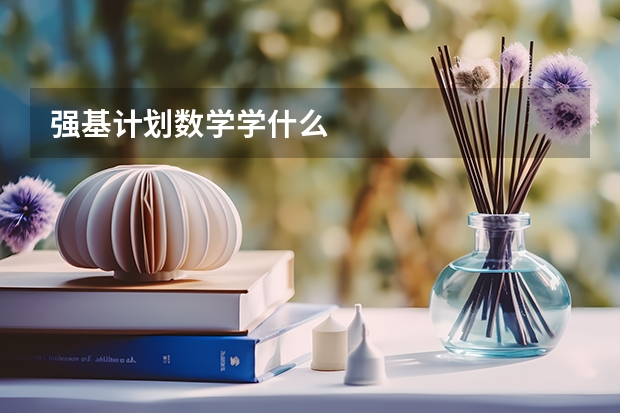 强基计划数学学什么