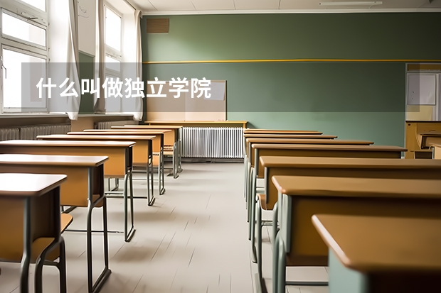 什么叫做独立学院