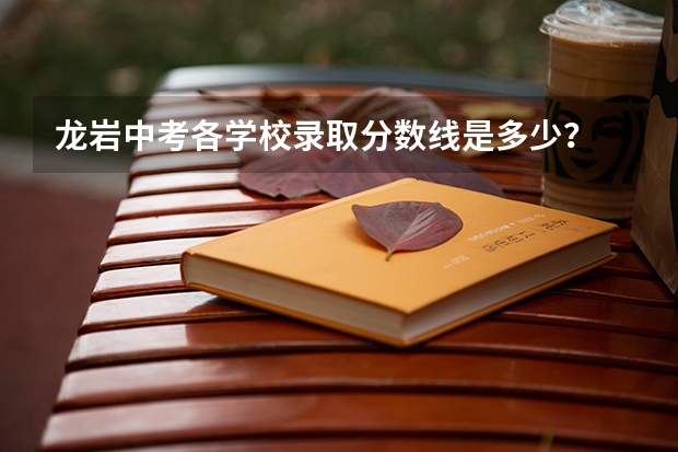 龙岩中考各学校录取分数线是多少？