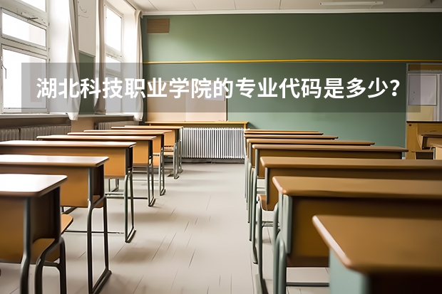 湖北科技职业学院的专业代码是多少？