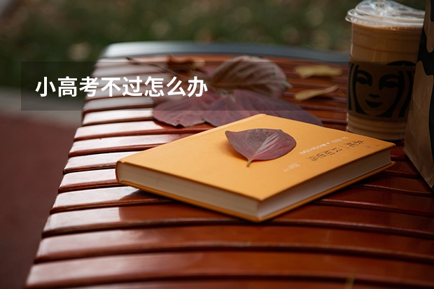 小高考不过怎么办