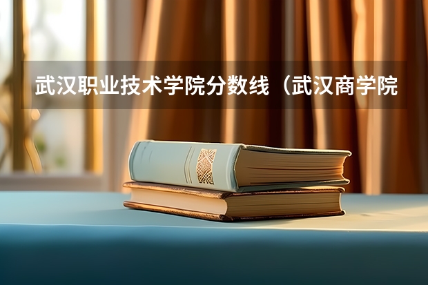 武汉职业技术学院分数线（武汉商学院二本分数线）