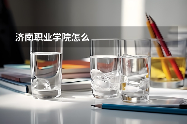 济南职业学院怎么