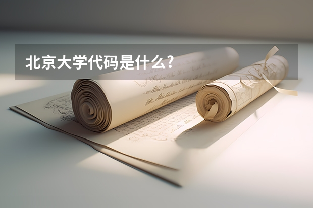 北京大学代码是什么?